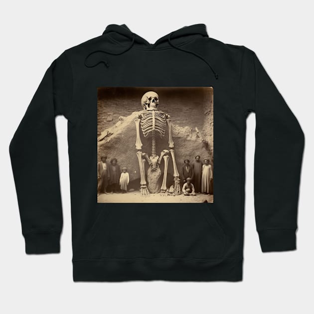 Conspiracy Theory Hoodie by AviToys